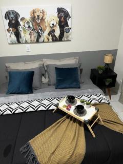 APTO 313B Divino - 1