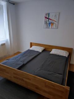 Dino's spacious place - Sarajevo - 0