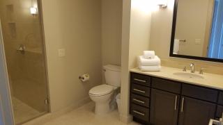 Downtown Houston High-Rise, a Powerhouse of Luxury - Houston - 8