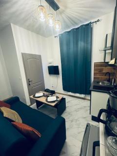 Le green touch, studio centre ville historique - 9