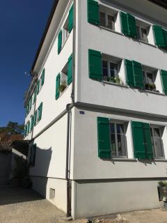 Bijou 1 Hübsche 1 Zimmer Wohnung - Herisau - 5