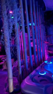 La Terrasse Des Spas - Restaurant - Institut Massage - Hazebrouck - 1