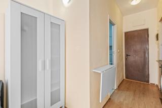 Studio a 200m de la playa los Locos - Torrevieja - 3