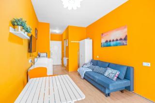 Studio a 199m de la playa los Locos - Torrevieja - 7
