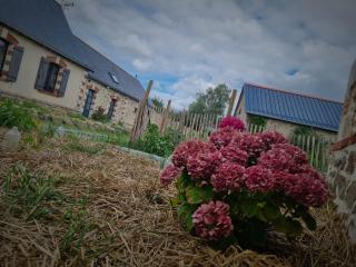 Gite de l'Archerie classé 4 étoiles, 9 personnes - Saint-Lambert-la-Potherie - 7