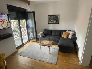 Apartmani Zlatiborka Residence - 1