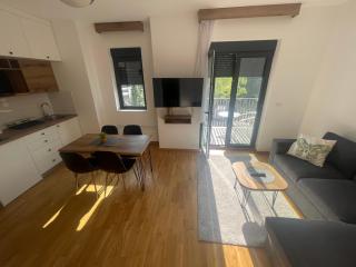 Apartmani Zlatiborka Residence - Zlatibor - 3