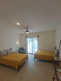 Valparaíso Selva Maya - 8