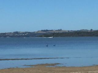 Wellness Stay in Private Home near beaches, rainforest and South Coast, 2 rooms - Dapto - 9