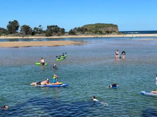 Wellness Stay in Private Home near beaches, rainforest and South Coast, 2 rooms - Dapto - 7