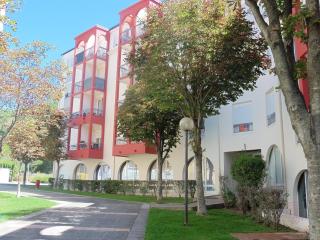 Bel F2 climatisé à 400m du centre, WiFi, animaux acceptés - FR-1-451-22 - Lamalou-les-Bains - 0