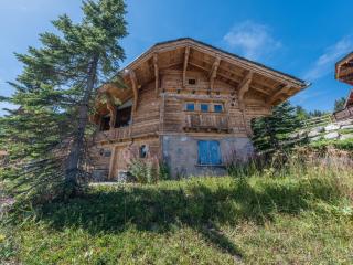 Chalet familial authentique avec spa, jacuzzi et hammam - Courchevel 1850 - FR-1-613A-26 - Courchevel - 8