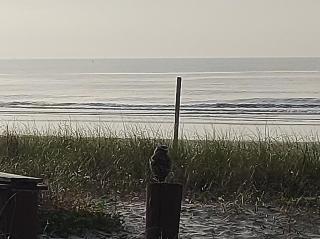 @casadepraiagrajau - 5