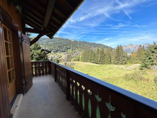 Chalet familial proche des pistes avec WiFi et parking - FR-1-623-349 - Les Gets - 1