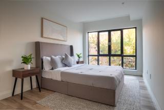 Modern 2 Bedroom Apartment in Quincy - 3