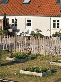 Rural Charm And Beautiful Landscape - Svebølle - 3