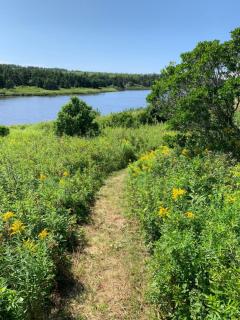 Colindale Beach Villas - 6