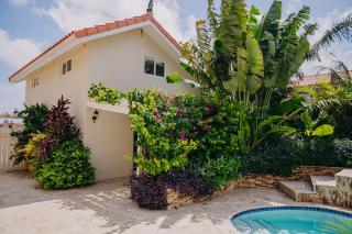 Cozy 1-bedroom-apartment 2 km from Eagle beach - Palm-Eagle Beach - 0