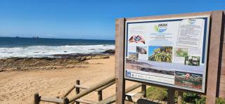 African surf house on the beach - Umdloti - 4