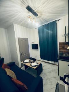 Le green touch, studio centre ville historique - 5