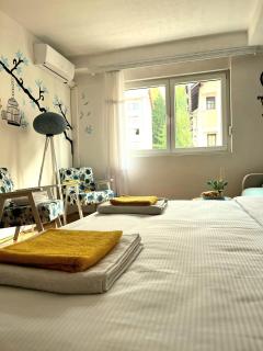 Center Apartment - Višegrad - 6