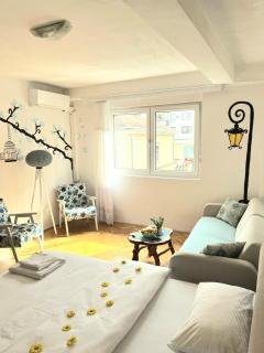 Center Apartment - Višegrad - 8