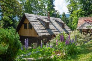 Počitniška hiša Koča Dobnik - Lovrenc na Pohorju - 3