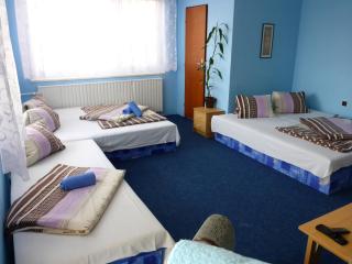 Mikulov - Inn - hotel s vinným sklepem Venuše - Mikulov - 9