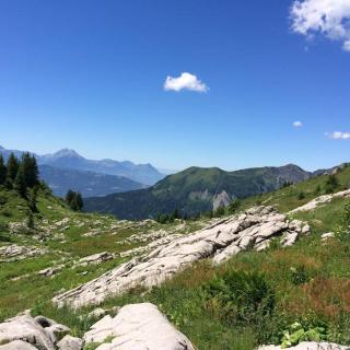 Chalet Pomet - Morillon - 8