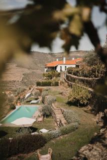 Quinta da Gricha - Ervedosa do Douro - 6