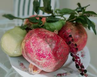 Mavrogenis Farm Chania Crete - 5