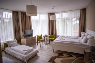 Selfness Hotel Vadvirág Mátraszentimre - Mátraszentimre - 5