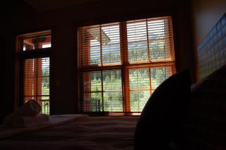 Lush Mountain Accommodations - Golden - 5