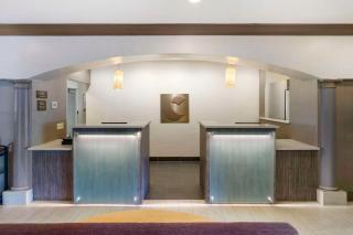 Comfort Inn & Suites Port Charlotte-Punta Gorda - Port Charlotte - 3
