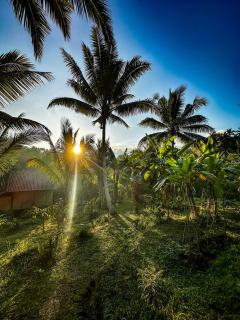 A Private Challet Getaway in Bali's Tropical Jungle - Meliling - 9
