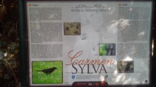 Apartment Vesna A2 - 9