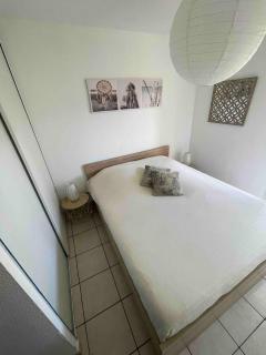 ZenBNB / Léman / Garage /Balcon/ Piscine - Annemasse - 4
