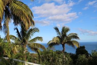 Saint Leu - Chambre 3 épis avec PDJ piscine en pleine nature vue mer - Bardzour - 7