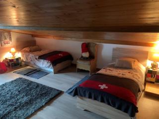 Grand duplex avec balcon, superbe vue sur montagne - Praz-sur-Arly - 2