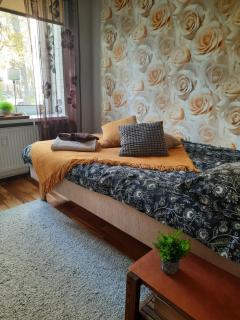 Lennuki Apartement - Rakvere - 4