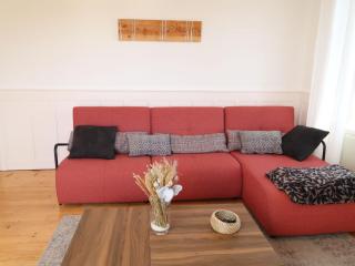 Apartment Grand-Rue 143 by Interhome - Auberson - 1