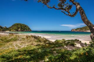 Kiwi Classic - Matapouri - 4