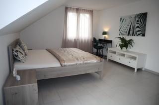 Serene work/holiday apartment - Renningen - 9