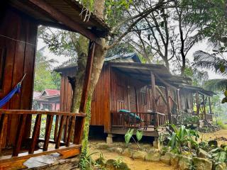 Easy Tiger - M'Pai Bay Beach, Koh Rong Sanloem - 6