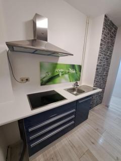 Ferienwohnung mit Tageslichtbad in ländlicher Lage nahe Halle (Saale) - 1