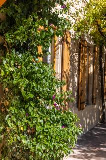 LE JARDIN DE CESAR - Orsan - 6