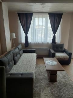 Golden Apartman - Zlatibor - 8