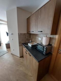 Golden Apartman - Zlatibor - 7