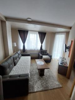 Golden Apartman - Zlatibor - 0