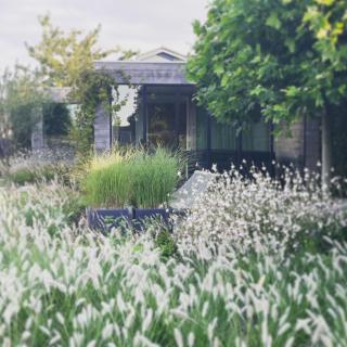 Lit de Clémot - Merelbeke - 5